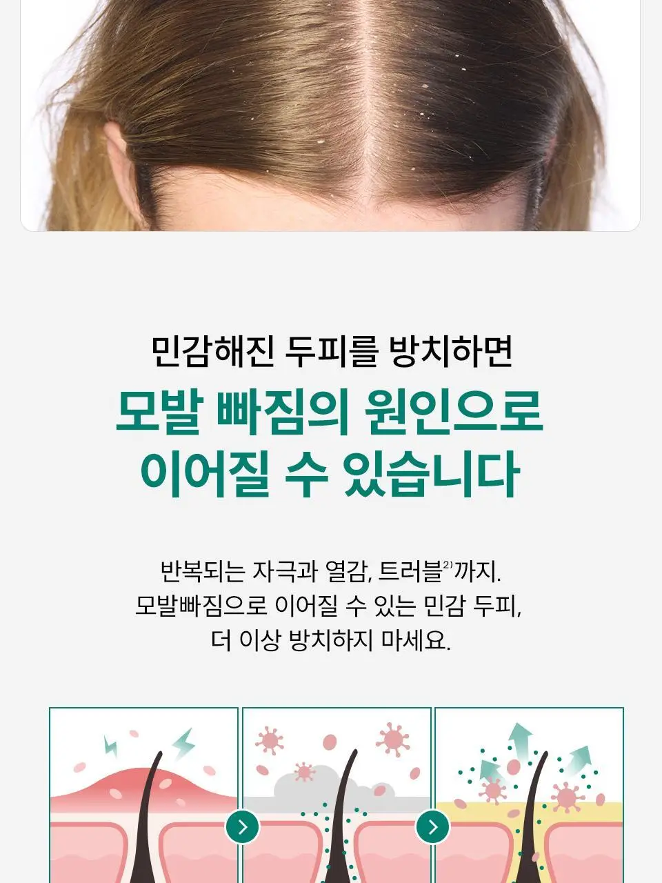 [NEW] 닥터포헤어 피토테라피 하이드로 스칼프 세럼 60ml 상세페이지 6